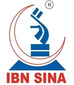 Client 11